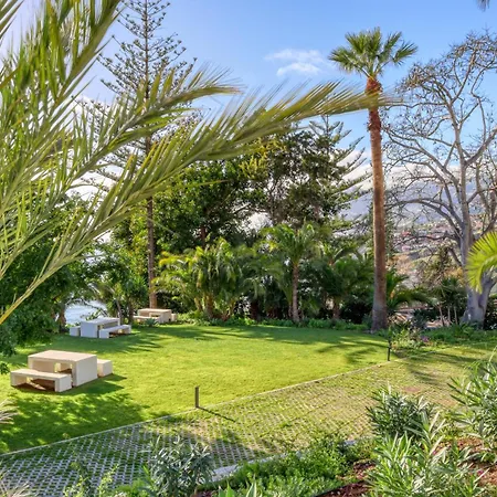 Acqua Blue 5l, A In Madeira